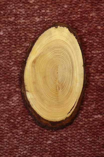 Petite tranche de tronc d'arbre coupée dans les bois Surface texturée avec anneaux et fissures