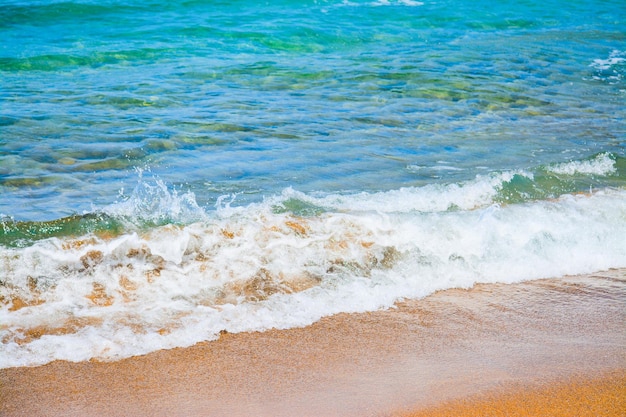 Petite vague par un estran doré en Sardaigne