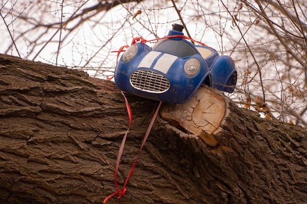 Une petite voiture accrochée à un arbre