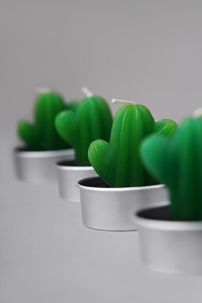 De petites bougies vertes en forme de cactus se dressent en diagonale sur un fond gris Ambiance de confort Décor dans la chambre