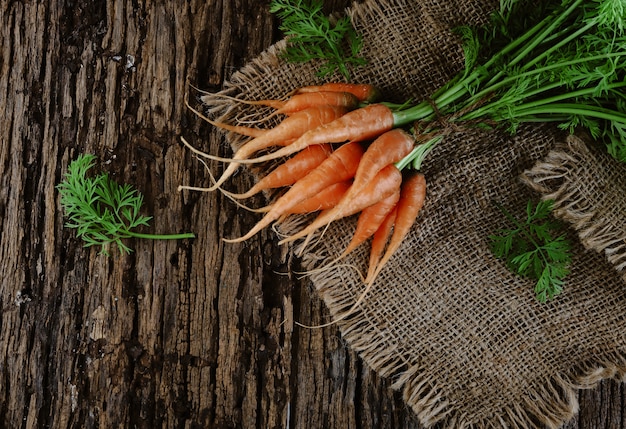 Petites carottes