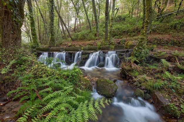 Petites cascades formées par la rivière Tripes dans le parc naturel du parc du mont Aloia, dans la région de la Galice, en Espagne.