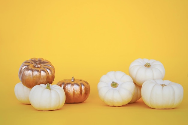 Les petites citrouilles blanches et dorées de la variété Bera Bu se trouvent sur un fond jaune Le concept de récolte Halloween Thanksgiving Espace pour le texte