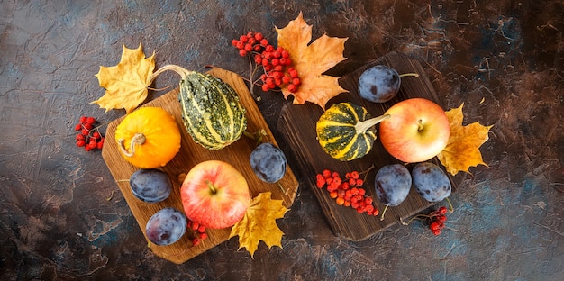 Petites citrouilles décoratives et feuilles d'érable d'automne sur brun. Vue de dessus.