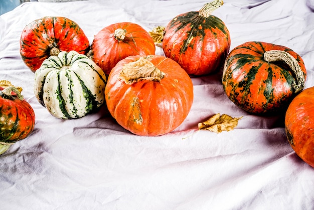 Petites citrouilles sur une surface en lin