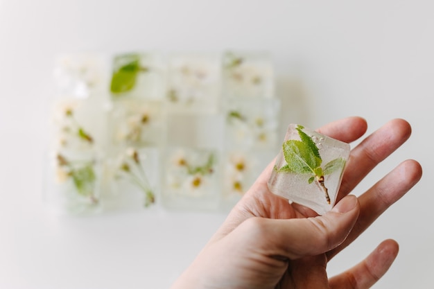 Petites Feuilles Et Fleurs Congelées Dans Des Glaçons