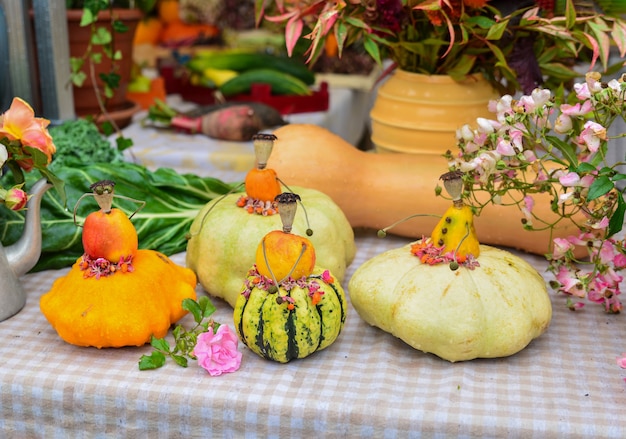 Petites figures de femmes de citrouilles et courgettes et patissons