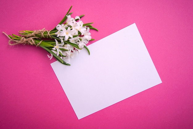 Petites fleurs blanches de chionodoxa et une feuille de papier sur une surface rose