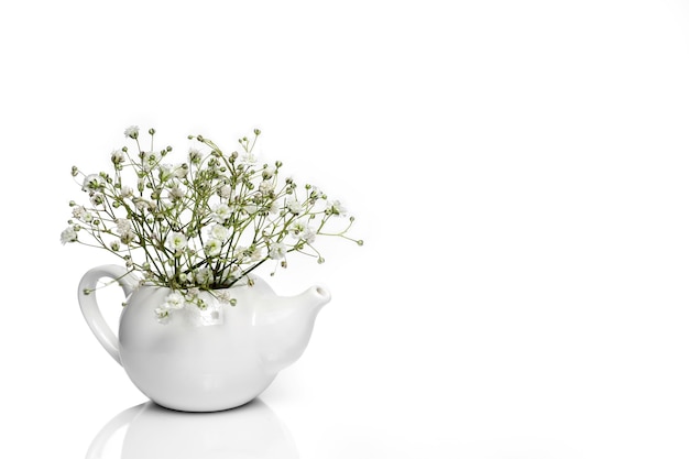 Petites fleurs blanches dans une théière en céramique blanche.