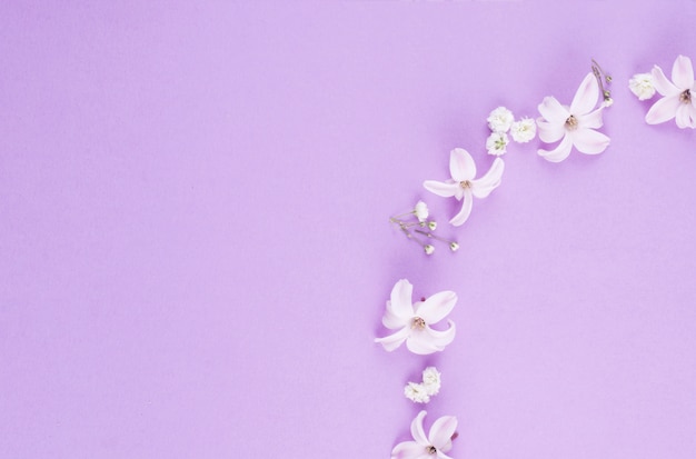 Petites fleurs blanches dispersées sur la table