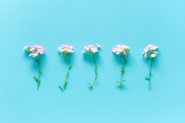 Petites fleurs délicates naturelles d'affilée avec copie espace. Bonjour printemps ou en été, journée de la femme