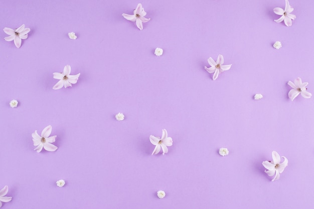 Petites fleurs dispersées sur la table