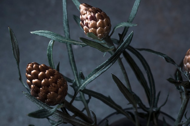 Petites fleurs sauvages d'or sur fond gris