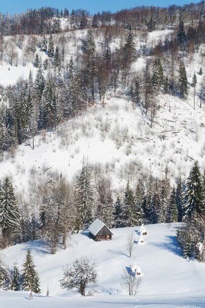 Petites maisons dans une forêt enneigée dans les montagnes en hiver