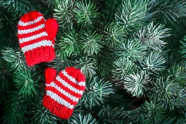 Petites moufles sur le sapin