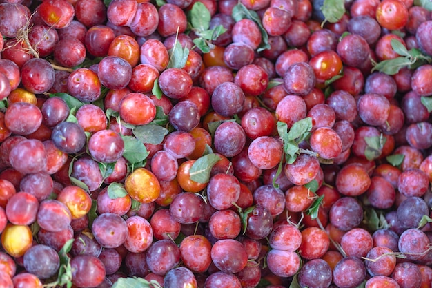 Petites prunes en vente au marché de producteurs. Géorgie