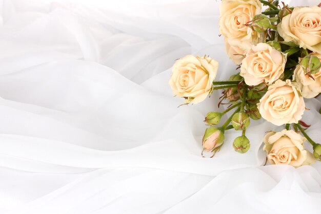 Petites roses dans un tissu blanc isolé sur blanc