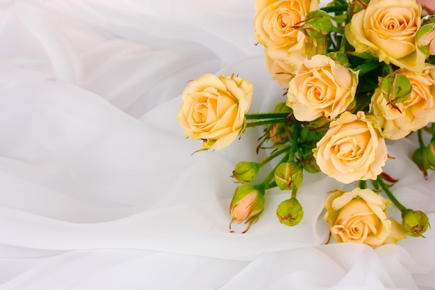 Petites roses dans un tissu blanc isolé sur blanc