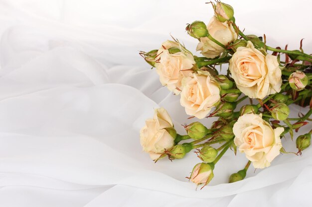 Petites roses dans un tissu blanc isolé sur blanc