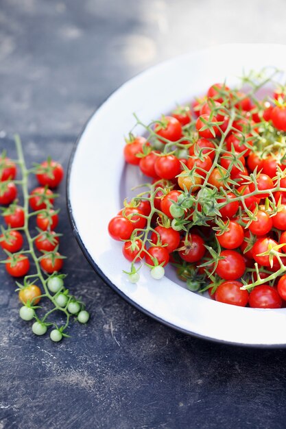 Photo petites tomates cerises sur la branche