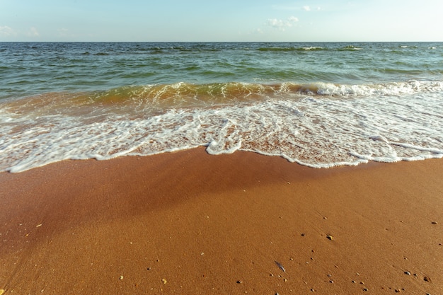 Petites vagues de la mer