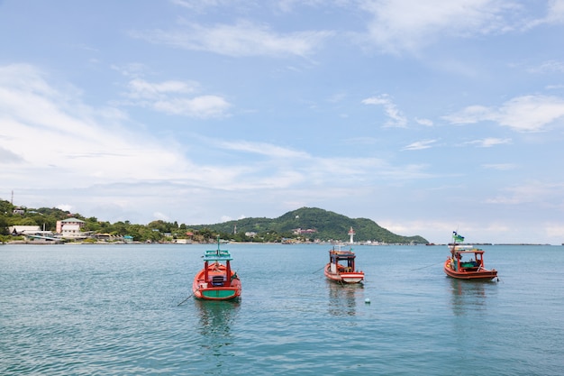 Petits bateaux de pêche