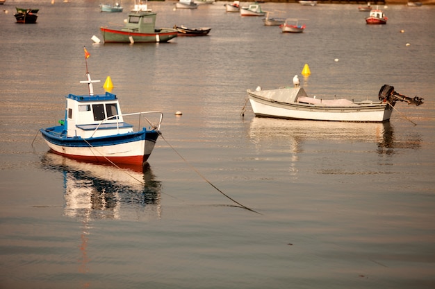 Petits bateaux de pêche