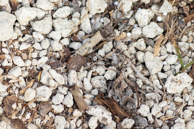 des petits cailloux blancs au sol recouvrent tout