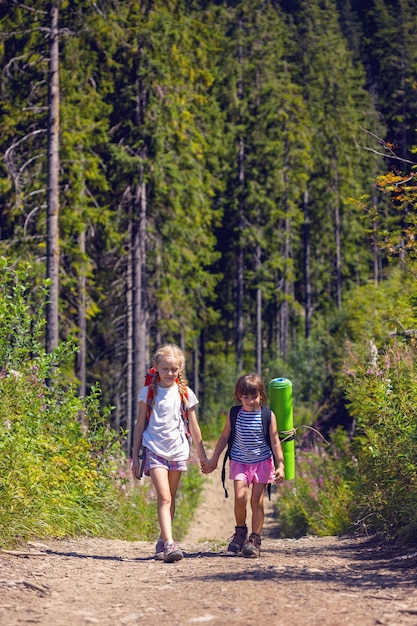 Petits enfants en randonnée