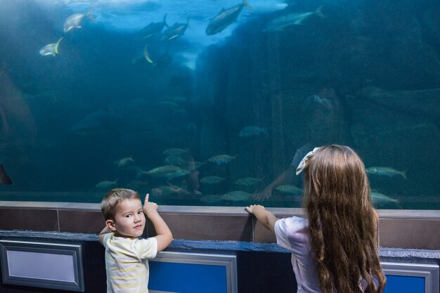 Petits frères et sœurs regardant un aquarium