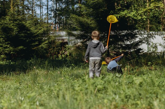 Petits garçons avec des filets à papillons dans l'image de la campagne avec mise au point sélective