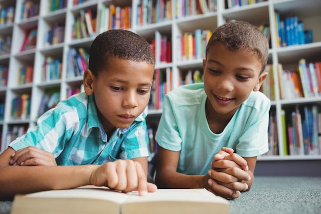 Petits garçons lisant un livre