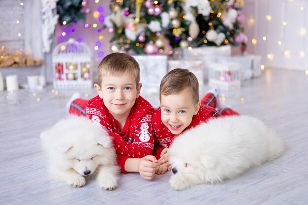 Petits garçons mignons d'enfants avec des chiots de chiens blancs près de l'arbre de Noël, concept de vacances, nouvel an