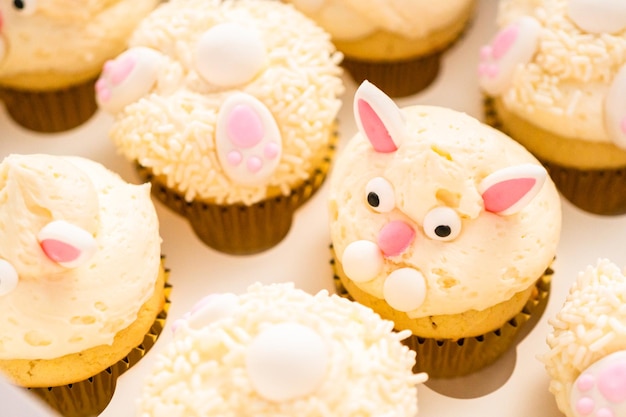 Petits gâteaux de lapin de Pâques dans une boîte à cupcake blanche.