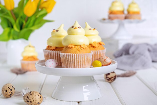 Petits gâteaux mignons de poussin de Pâques Petits gâteaux à la vanille avec crème au beurre sur un support blanc avec des fleurs fraîches