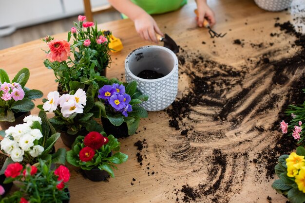 Petits jardiniers plantant des fleurs en pot dans la cuisine