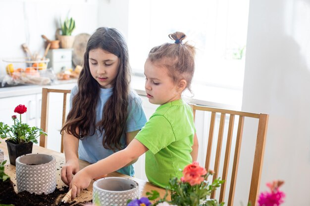 Petits jardiniers plantant des fleurs en pot dans la cuisine