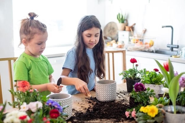 Petits jardiniers plantant des fleurs en pot dans la cuisine