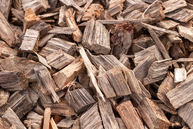 Petits morceaux de bois gisant sur un tas.