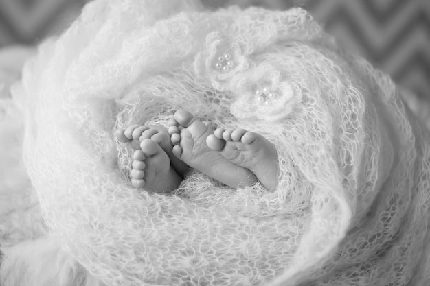 Petits pieds jumeaux nouveau-nés enveloppés dans une couverture