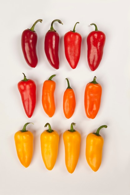 PETITS POIVRONS ÉPICÉS CRÉANT UN GRADIENT DE COULEUR DU ROUGE FONCÉ AU JAUNE PASSANT AU ROUGE CLAIR ET À L'ORANGE.