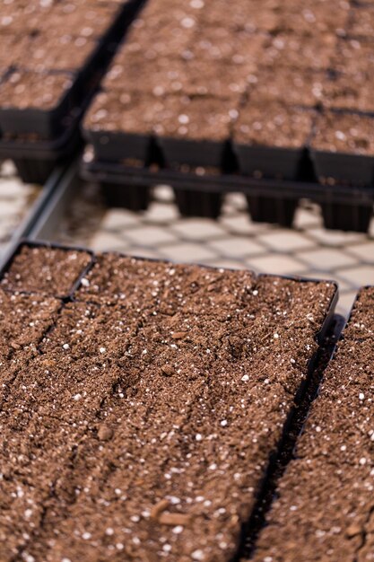 Petits pots de plantation avec terre végétale prêts pour la saison de plantation.