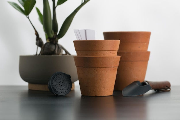 Petits pots en terre cuite et équipements de plantation d'arbres