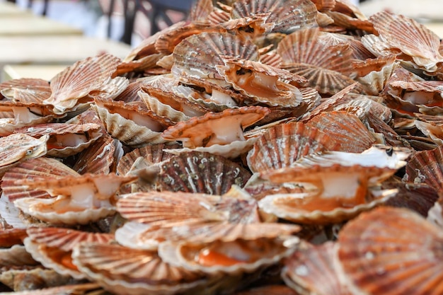 Pétoncles frais sur un marché de fruits de mer à Dieppe France