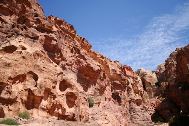 Petra Jordan