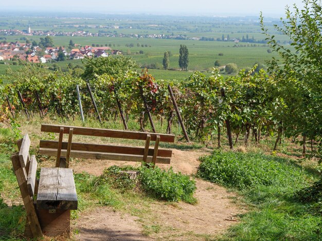 Photo le pfalz en allemagne.