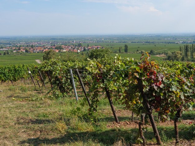 Photo le pfalz en allemagne.