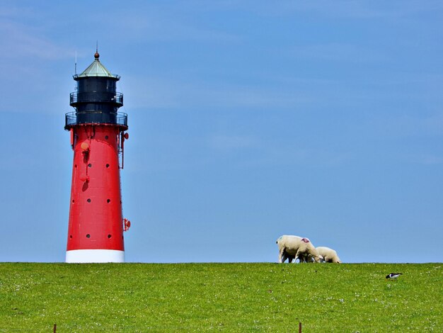 Photo phare sur le champ contre le ciel