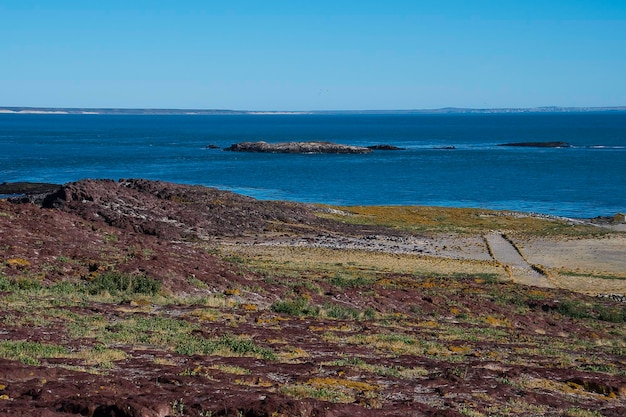 Phare de l'Île Penguin Province de Santa Cruz Patagonie Argentine