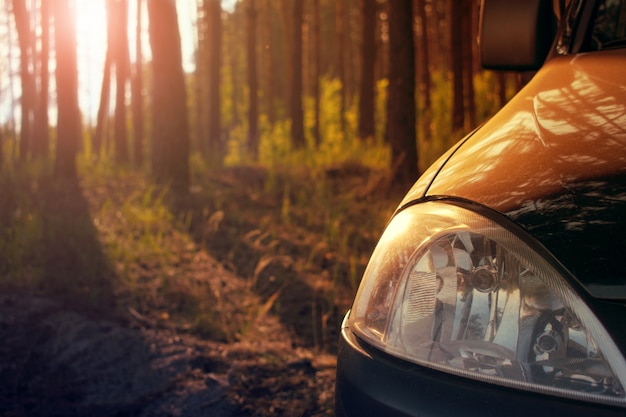 Phare de voiture gros plan sur un fond de pins